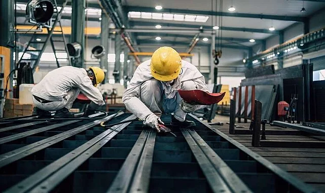 Kangal Katlar Arası Taşıma